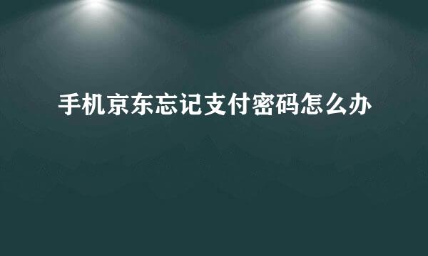 手机京东忘记支付密码怎么办