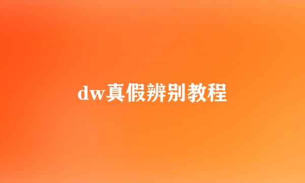 dw真假辨别教程