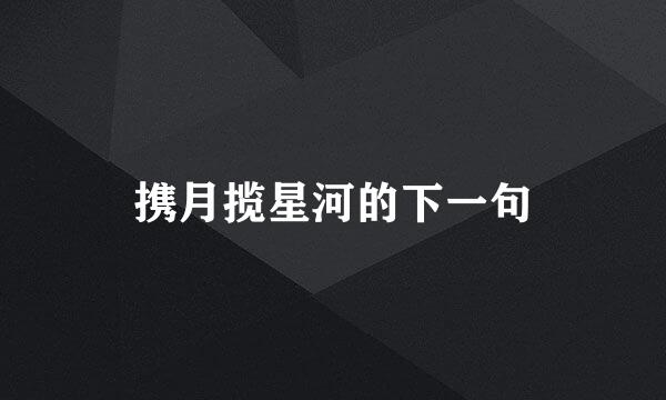 携月揽星河的下一句