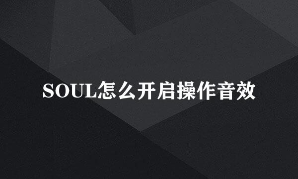 SOUL怎么开启操作音效