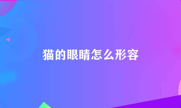 猫的眼睛怎么形容
