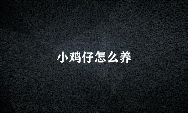 小鸡仔怎么养