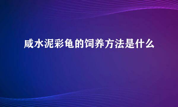 咸水泥彩龟的饲养方法是什么