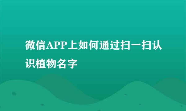 微信APP上如何通过扫一扫认识植物名字