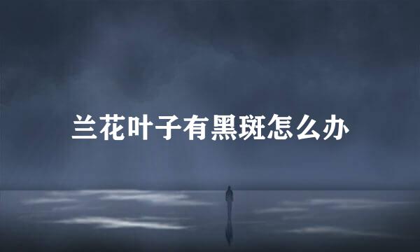 兰花叶子有黑斑怎么办