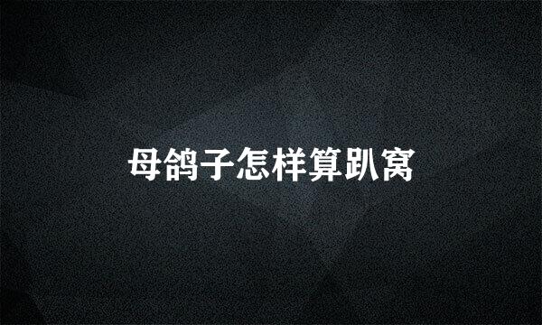 母鸽子怎样算趴窝