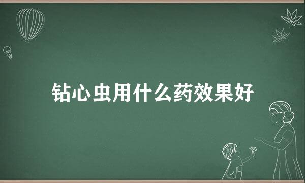钻心虫用什么药效果好