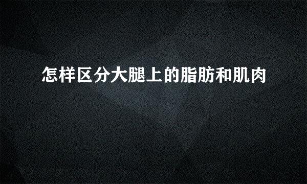 怎样区分大腿上的脂肪和肌肉