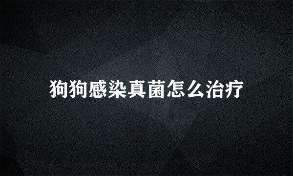 狗狗感染真菌怎么治疗