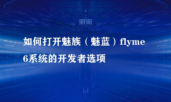 如何打开魅族(魅蓝)flyme6系统的开发者选项