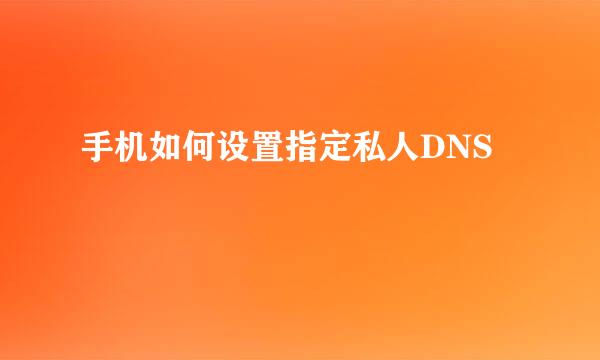 手机如何设置指定私人DNS