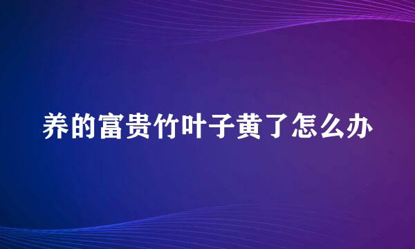 养的富贵竹叶子黄了怎么办