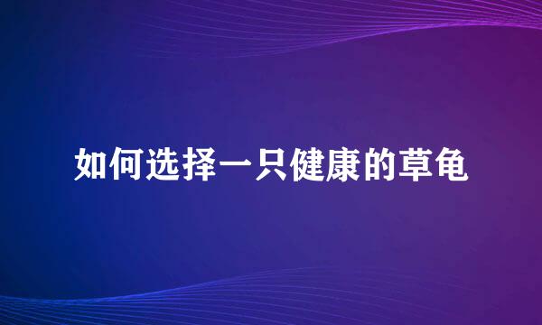 如何选择一只健康的草龟