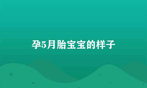 孕5月胎宝宝的样子