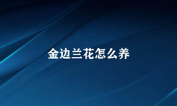 金边兰花怎么养