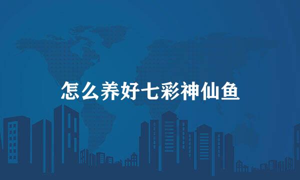 怎么养好七彩神仙鱼