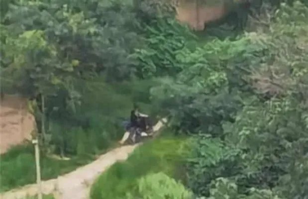 合谋盗古墓挖一米就放弃 事件背后的真相让人哭笑不得