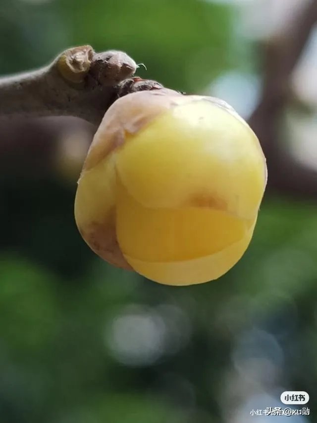 五一机票价格比去年跌三成,疫情当下我们还能出去旅游吗?