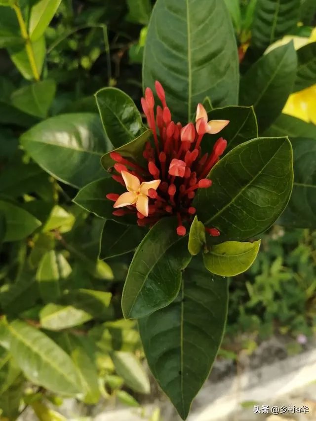 该怎么面对父亲突然离世的生活，我快坚持不下去了，承诺爸爸的事情很多还没完成，以前一直觉得时间还很多？