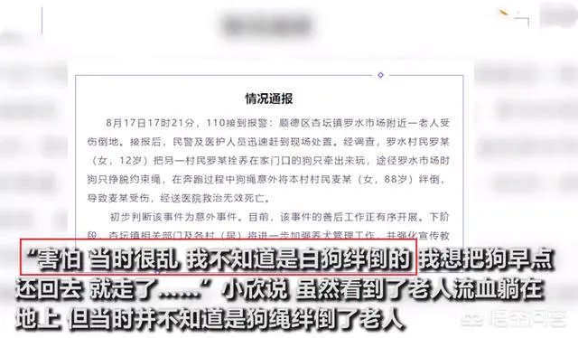 牵狗少女回应“逃跑”:不知道是狗绳绊倒了老人,她的话可信吗?