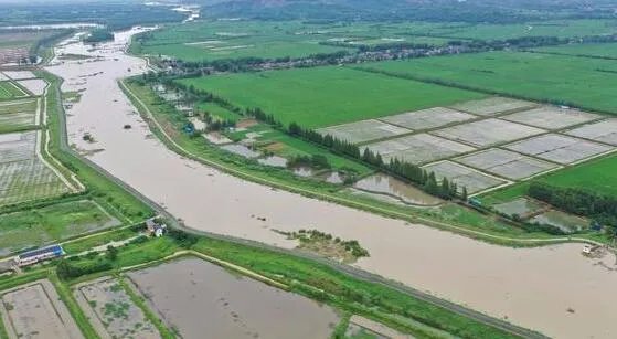 全椒县滁河实施爆破泄洪是怎么回事 预计爆破泄洪后水位下降70公分