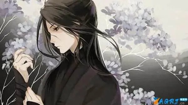 古言开车很厉害的作者(四本作者开车贼快的小说推荐)