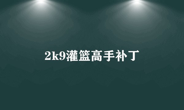 2k9灌篮高手补丁