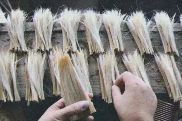 笔头的制作原料出自哪种动物？