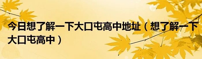 今日想了解一下大口屯高中地址（想了解一下大口屯高中）