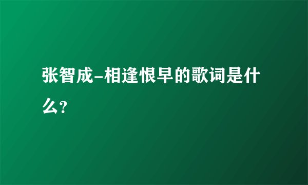 张智成-相逢恨早的歌词是什么？