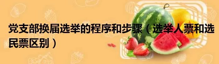 党支部换届选举的程序和步骤(选举人票和选民票区别)