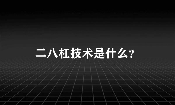 二八杠技术是什么？