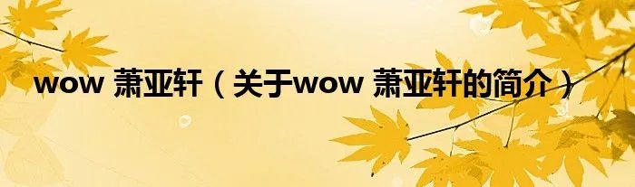wow 萧亚轩（关于wow 萧亚轩的简介）