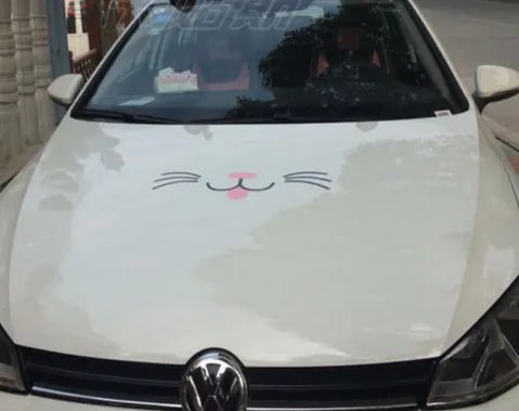 女司机开着引擎盖盲开半小时，她为何这么做？