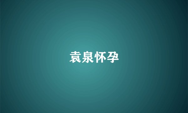 袁泉怀孕