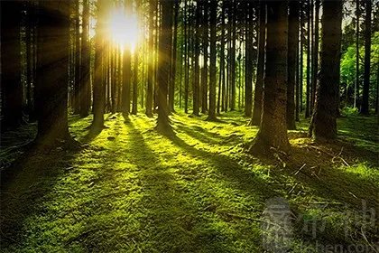 2021年初伏在哪一天?三伏天过后还要热多久?