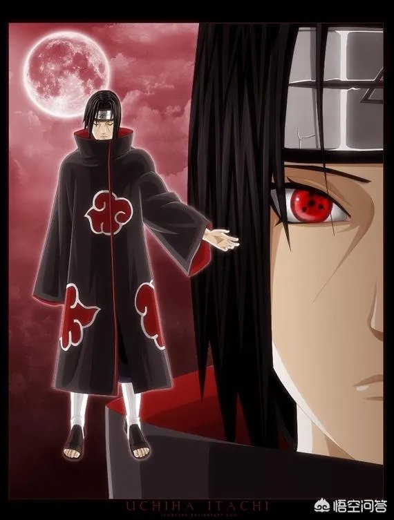 鼬的实力是什么水平