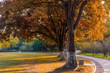 立冬打雷，未立冬先打雷好不好？立冬节气下雨有说法吗？