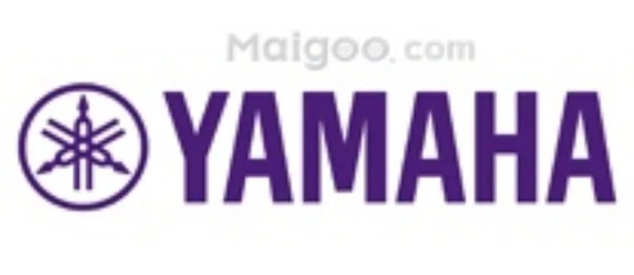 扩音器哪个牌子好 扩音器什么牌子好【扩音器品牌】