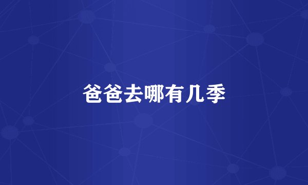 爸爸去哪有几季