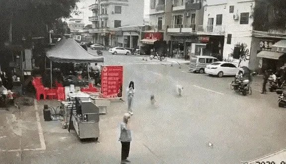 牵狗少女回应“逃跑”:不知道是狗绳绊倒了老人,她的话可信吗?