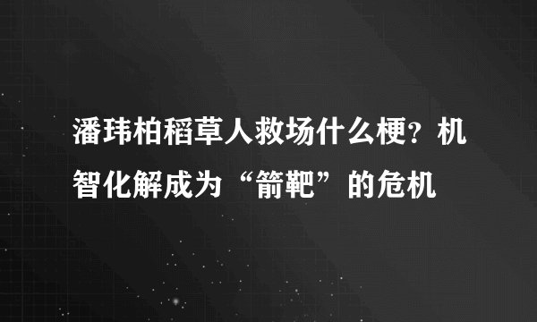 潘玮柏稻草人救场什么梗？机智化解成为“箭靶”的危机
