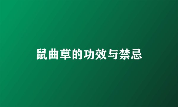 鼠曲草的功效与禁忌