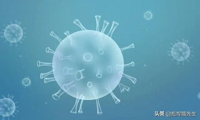 北京新发地发现新冠病毒有多长时间了？