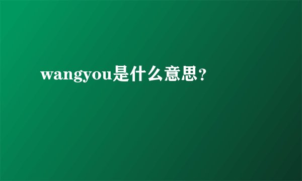 wangyou是什么意思？