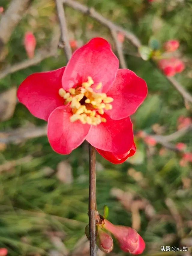 五一机票价格比去年跌三成,疫情当下我们还能出去旅游吗?