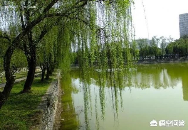 上联，日落香残，免去凡心一点，下联怎么对？