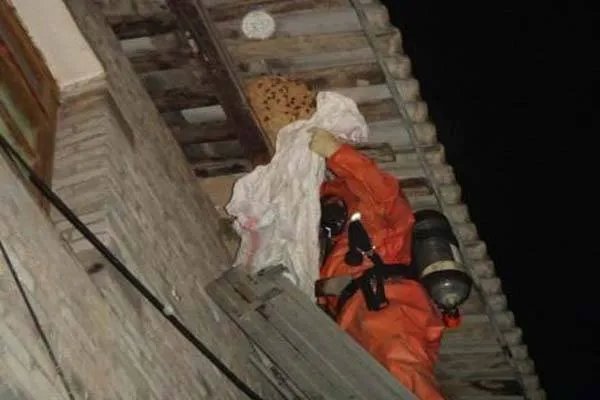 一家三口采板栗被胡蜂蜇伤,他们到底经历了什么?