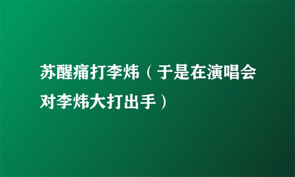 苏醒痛打李炜（于是在演唱会对李炜大打出手）