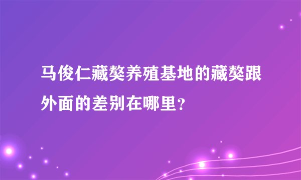 马俊仁藏獒养殖基地的藏獒跟外面的差别在哪里？